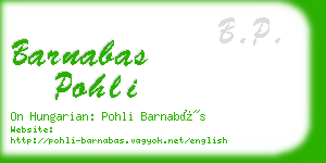 barnabas pohli business card